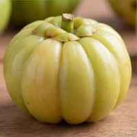 Citrin® (Garcinia Cambogia Extract)